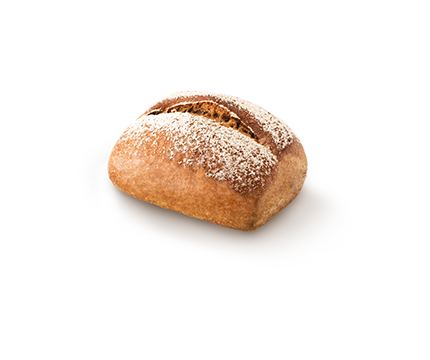 Roggster